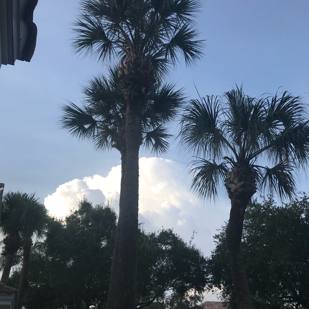 Meet your Posher, Whitney